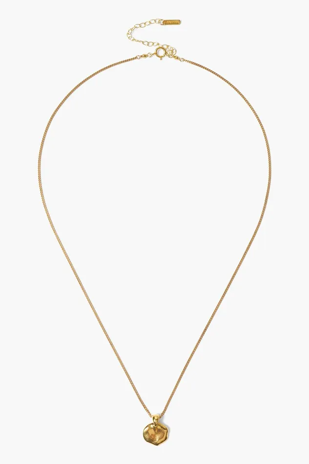 Coin Necklace Yellow Gold Women Chan Luu Necklaces