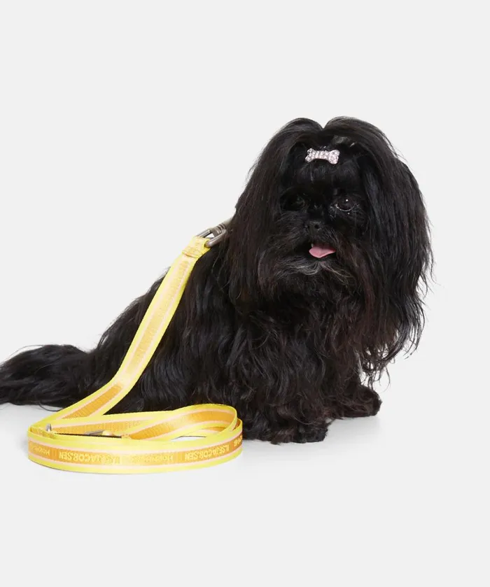 Dog Leash Short 8211 Sunbeam Accessories Ilse Jacobsen Vov and Vuf