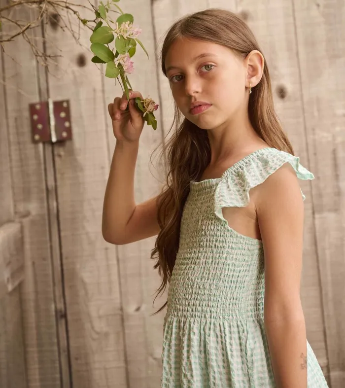 Dresses Girls Hatley Girls Gingham Seersucker Smocked Dress