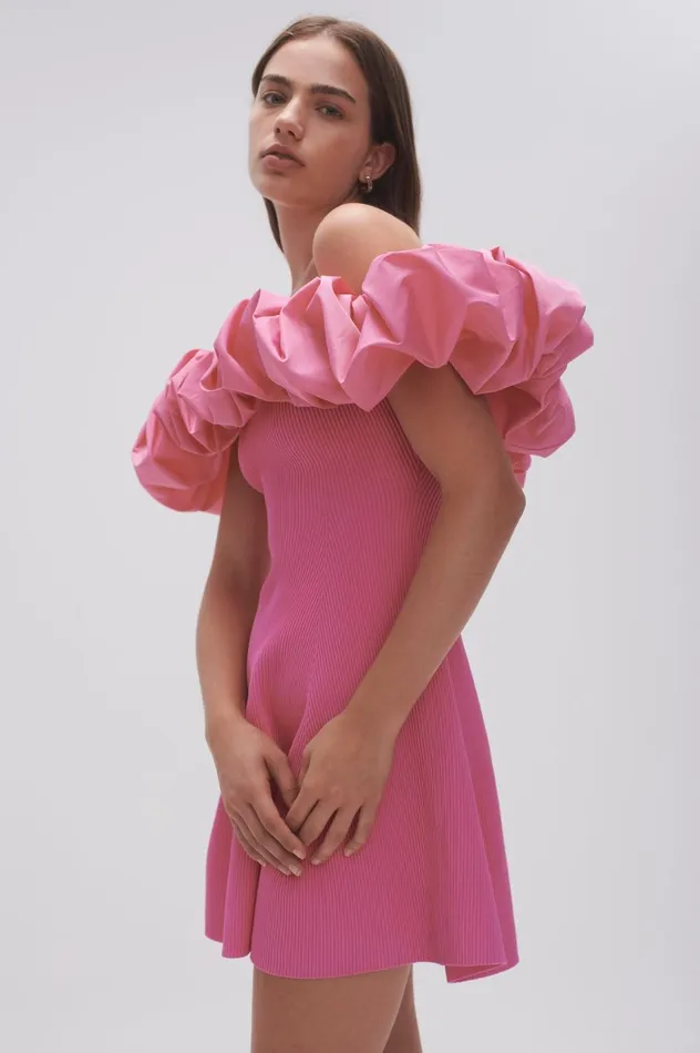 Eldora Mini Dress Protea Pink Women Aje Mini Dresses
