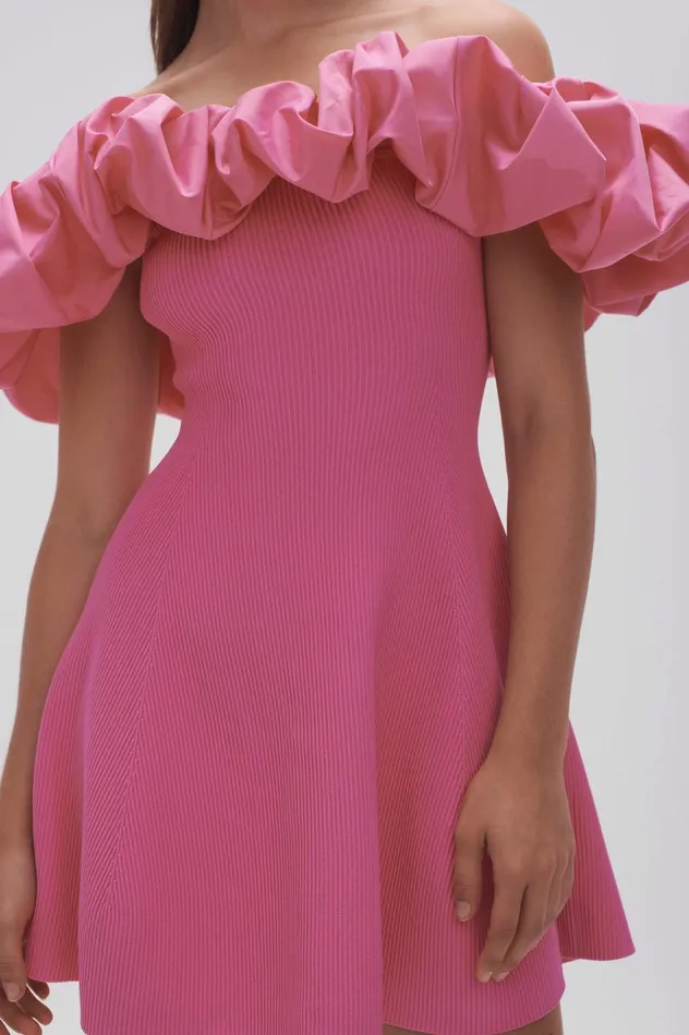 Eldora Mini Dress Protea Pink Women Aje Mini Dresses