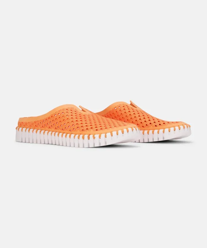Flats 8211 Mango Sorbet Shoes Ilse Jacobsen Tulip Flats
