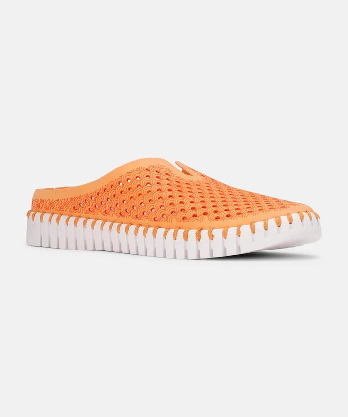 Flats 8211 Mango Sorbet Shoes Ilse Jacobsen Tulip Flats Flats 8211 Mango Sorbet Shoes Ilse Jacobsen Tulip Flats