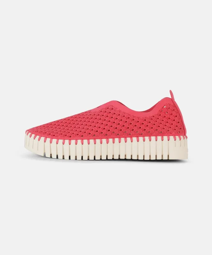 Flats 8211 Viva Magenta Shoes Ilse Jacobsen Tulip Flats Flats 8211 Viva Magenta Shoes Ilse Jacobsen Tulip Flats