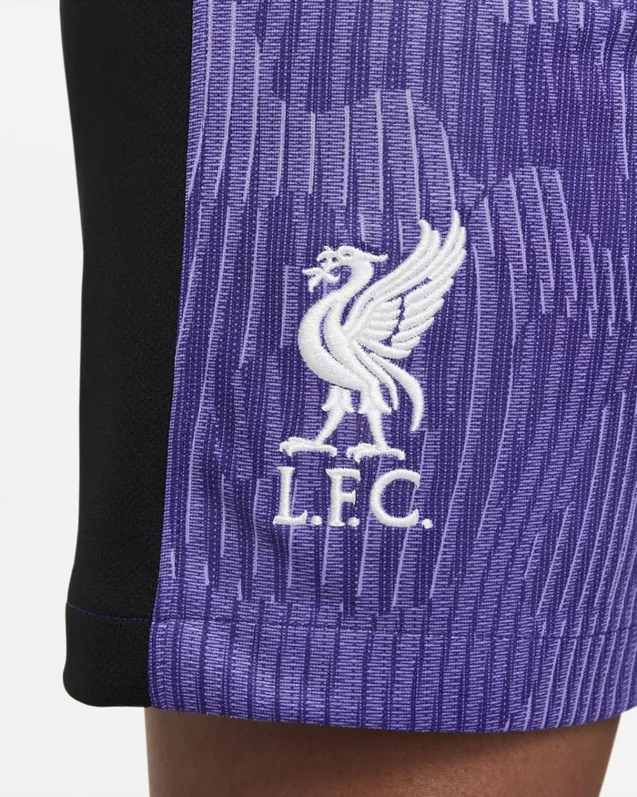 Kids Nike All Clothing Liverpool FC 202324 Stadium Third Space Purplecourt Purplewhite