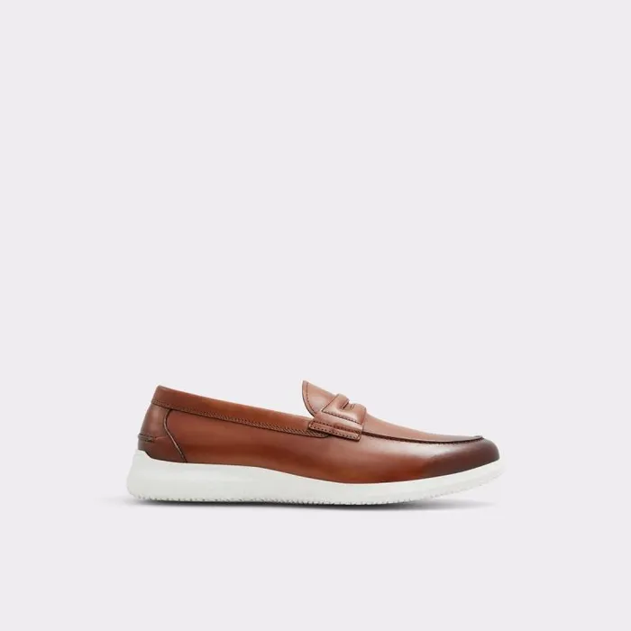 Loafers and SlipOns Men ALDO Hector Loafer