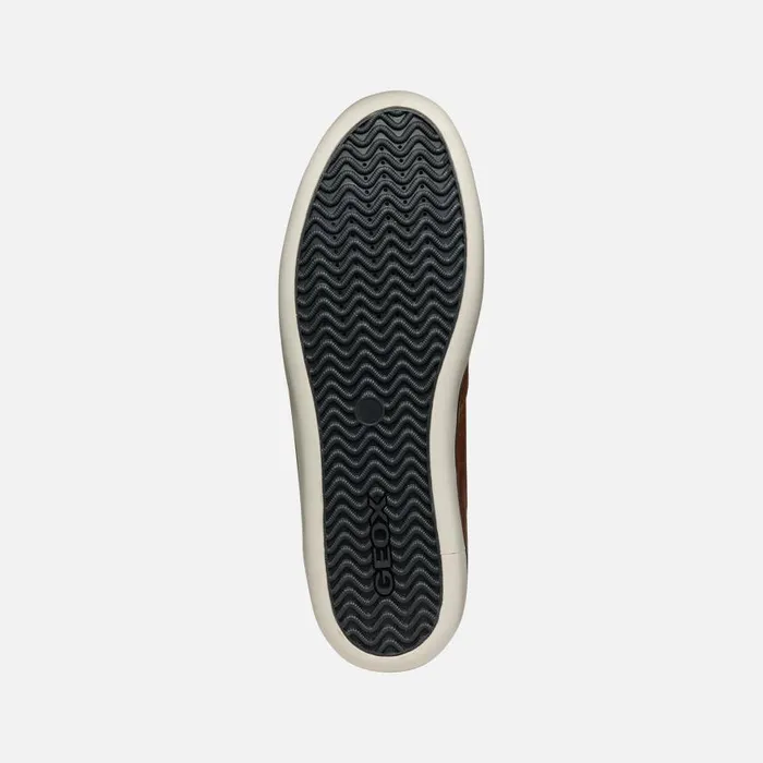 Man Geox Sneakers ELVER MAN Cognac Low Top Sneakers Cognac