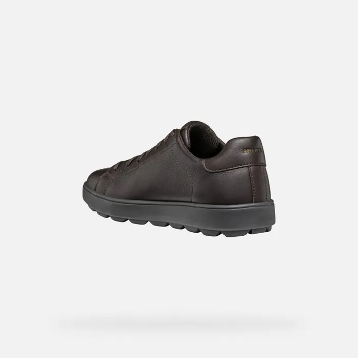 Man Geox Sneakers SPHERICA ECUB1 MAN Dark Brown Low Top Sneakers Dark Brown