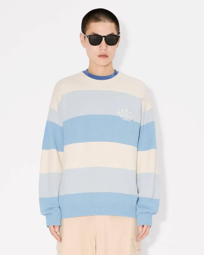 Men Embroidered Stripes Jumper In Cotton Blend Sky Blue Kenzo Sweaters And Cardigans