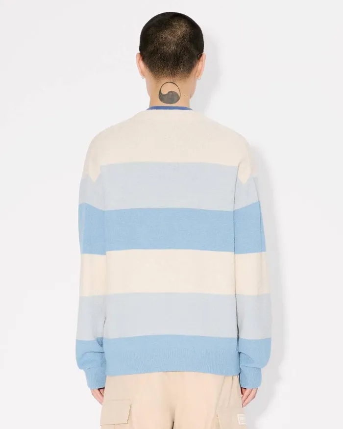 Men Embroidered Stripes Jumper In Cotton Blend Sky Blue Kenzo Sweaters And Cardigans
