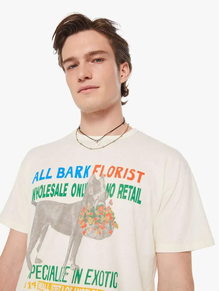 Men Tees Mother Denim The Lowdown White natural