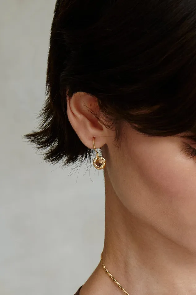 November Birthstone Earrings Topaz Crystal Women Chan Luu Earrings