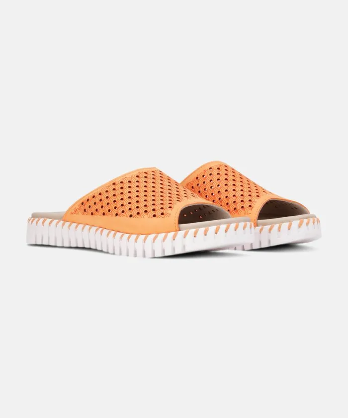 Sandals 8211 Mango Sorbet Shoes Ilse Jacobsen Sandals