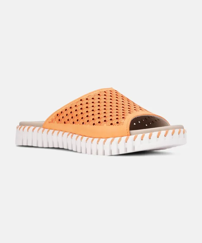 Sandals 8211 Mango Sorbet Shoes Ilse Jacobsen Sandals Sandals 8211 Mango Sorbet Shoes Ilse Jacobsen Sandals