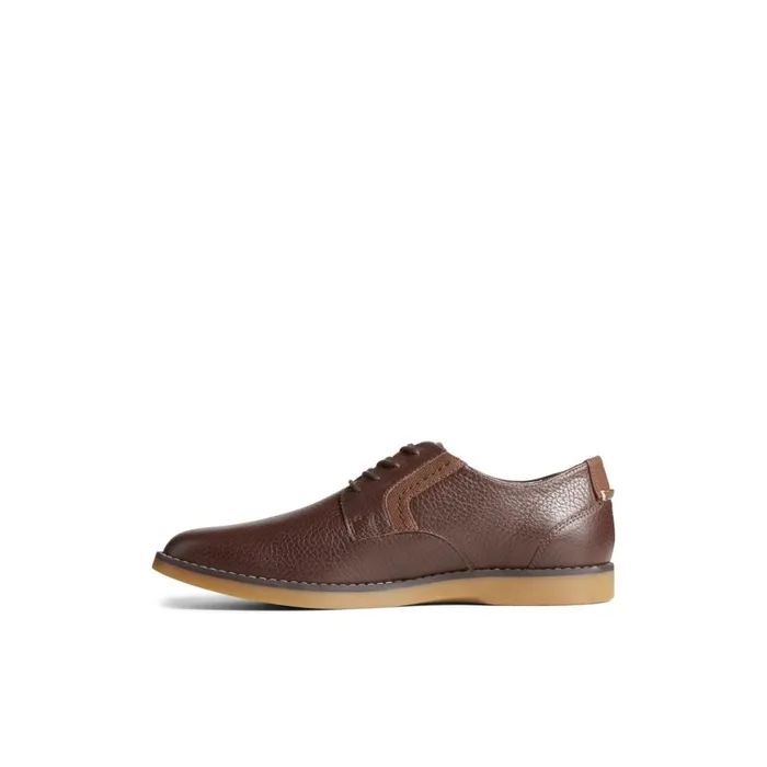 Sperry Newman Oxford Dress Shoe Brown Leather Smooth Men Loafers and Oxfords