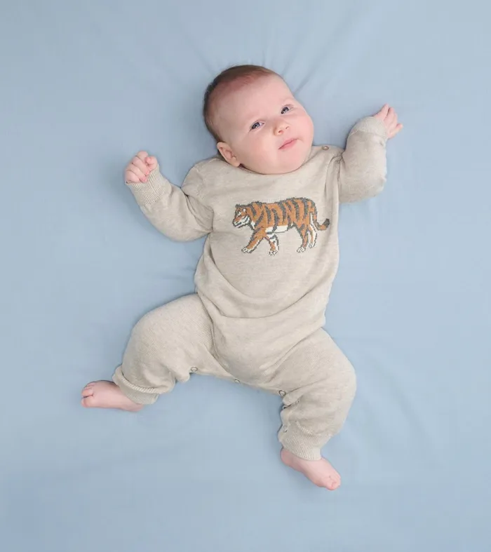 Sweaters Baby and Toddler Hatley Baby Boys Little Tiger Sweater Romper