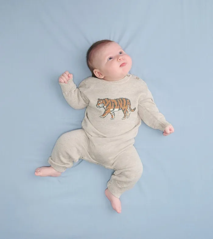 Sweaters Baby and Toddler Hatley Baby Boys Little Tiger Sweater Romper