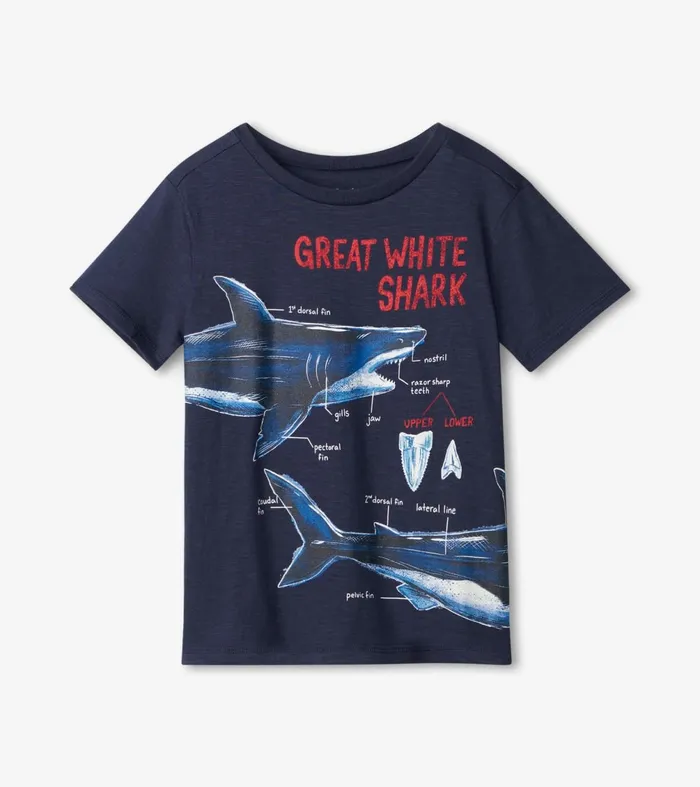 Tops Boys Hatley Great White Shark Graphic Tee