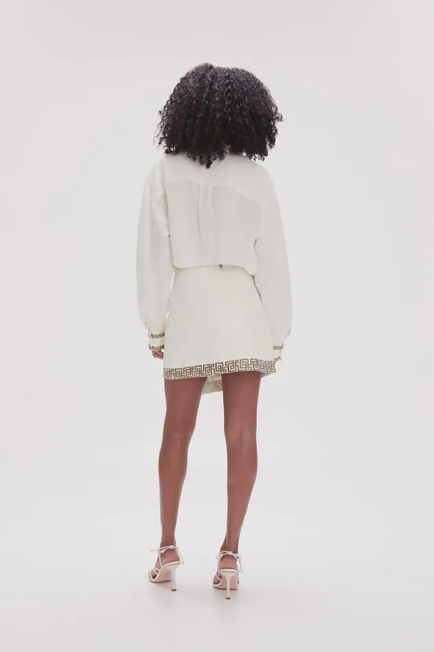 Voyager Embroidered Mini Skirt Ivorydesert Khaki Women Aje Skirts