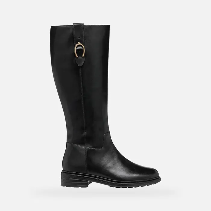 Woman Geox Boots WALK PLEASURE WOMAN Black Leather Boots Black