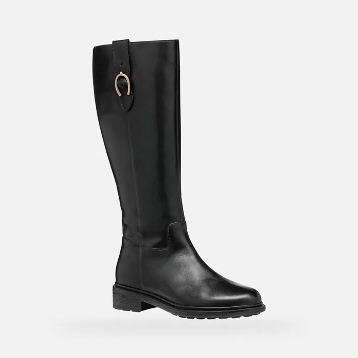 Woman Geox Boots WALK PLEASURE WOMAN Black Leather Boots Black