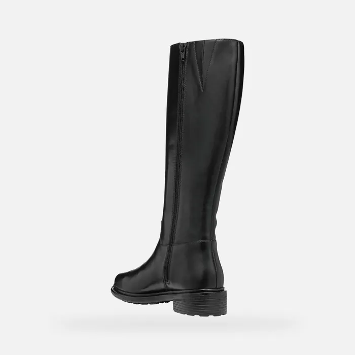 Woman Geox Boots WALK PLEASURE WOMAN Black Leather Boots Black