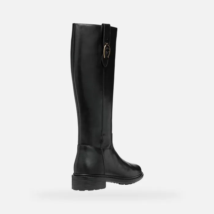 Woman Geox Boots WALK PLEASURE WOMAN Black Leather Boots Black
