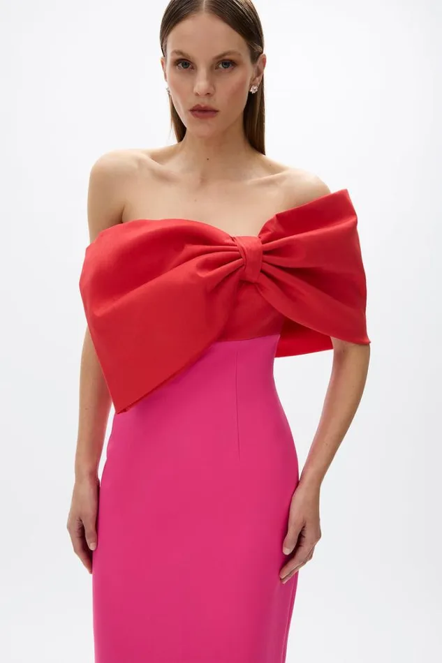 Women Evening Dresses Rachel Gilbert Kace Gown Hot PinkRed Women Evening Dresses Rachel Gilbert Kace Gown Hot PinkRed