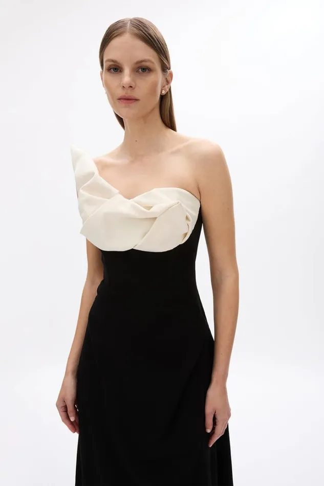 Women Maxi Dresses Rachel Gilbert CASSIDY GOWN Women Maxi Dresses Rachel Gilbert CASSIDY GOWN