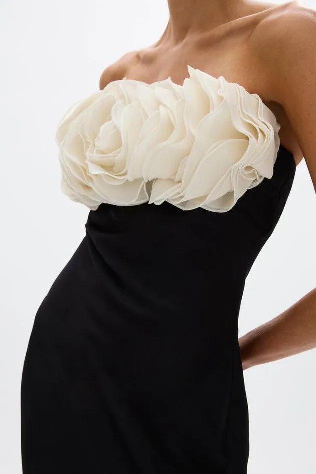 Women Maxi Dresses Rachel Gilbert Fiorella Gown BlackIvory Women Maxi Dresses Rachel Gilbert Fiorella Gown BlackIvory