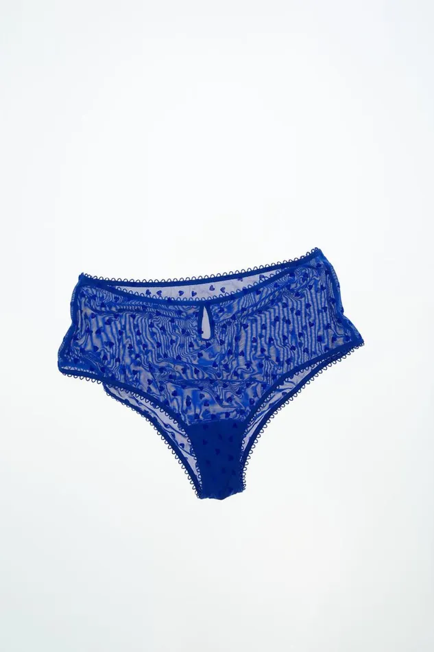 Women Panties Cotton On Sasha Flocking Mesh High Waist Bikini Brief Lapis Blue