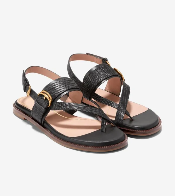 Women Women039s ANICA LUX BUCKLE SANDAL Black Cole Haan Sandals Women Women039s ANICA LUX BUCKLE SANDAL Black Cole Haan Sandals